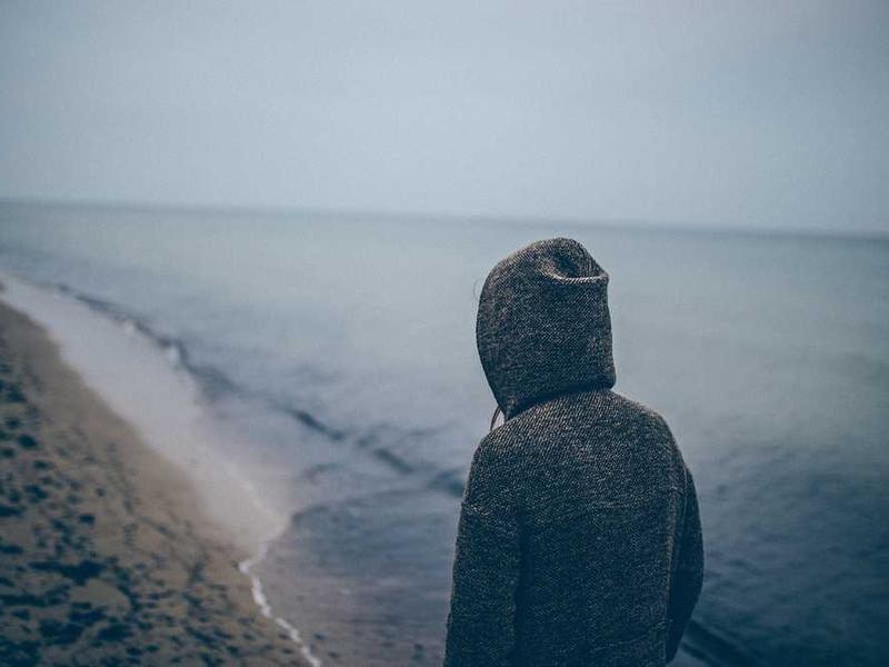 Dictumst Sollicitudin