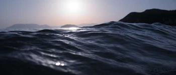 rqmicro.COUNT | rqmicro - Make Water Safe